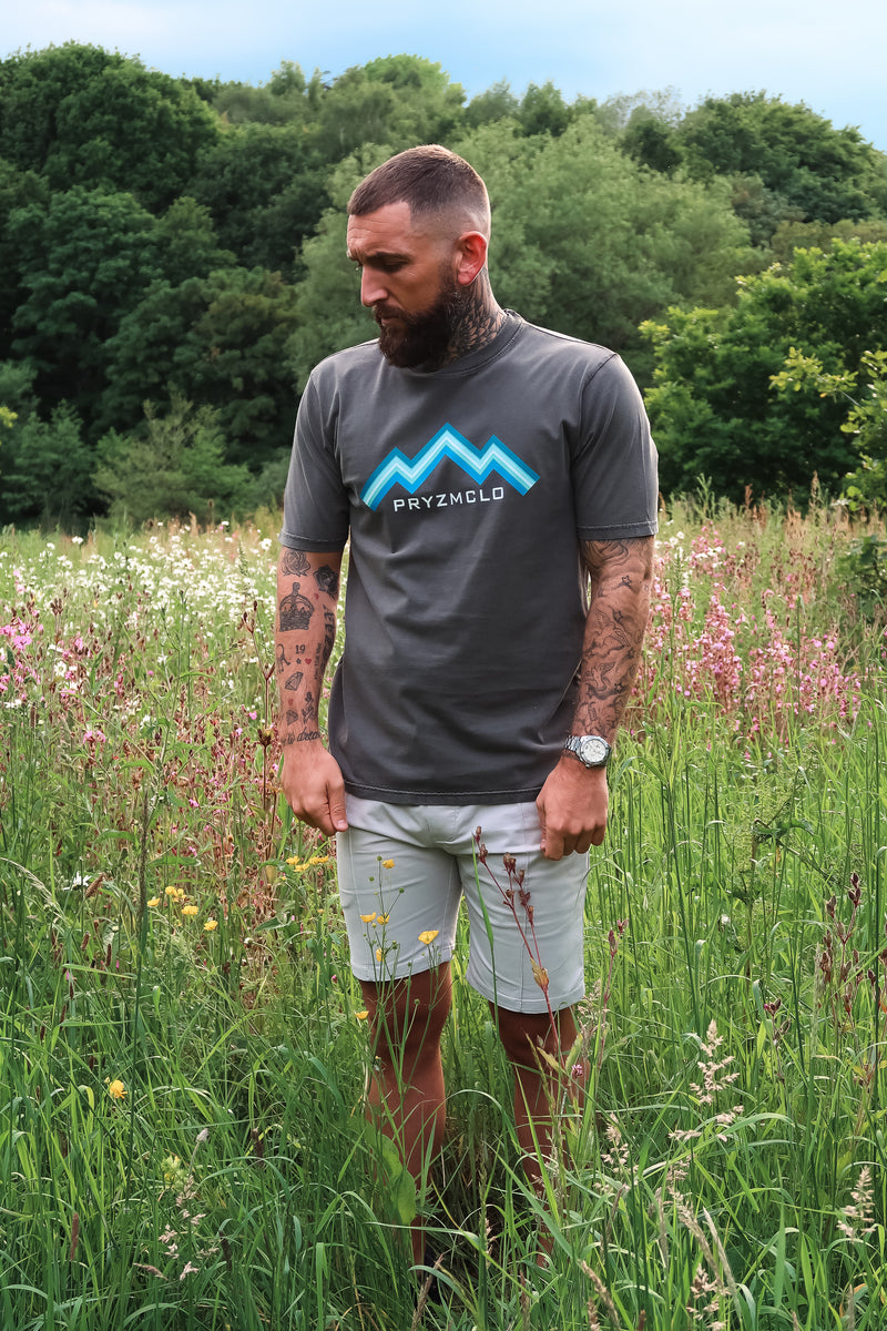 MENS WASHED GREY OVERSIZED ALPINE T-SHIRT